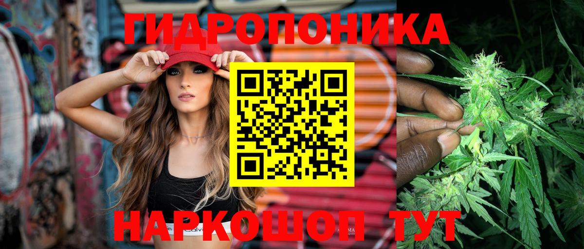 Конопля марихуана Рассказово