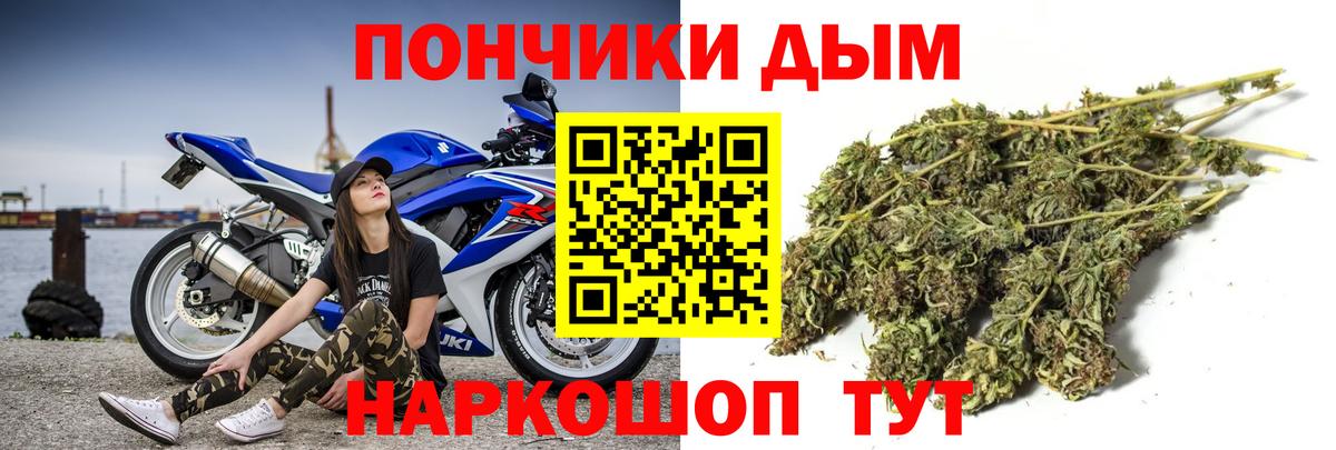 Бошки марихуана индика  Каннабис THC 21%  Рассказово  Бошки Шишки White Widow  Каннабис план  Вход с VPN 